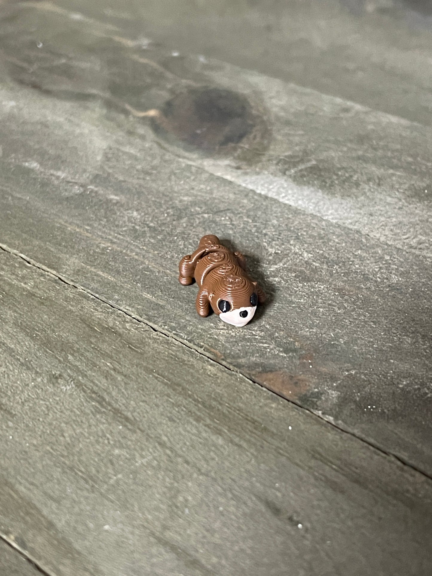 Mystery Desk Pets